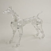 【オビツ】OBITSU BODY The DOG TYPE A クリア