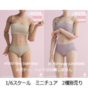 【WorldBox】AT201T/AT201P 1/6 LINGERIE Seamless Underwear 女性 ランジェリー アンダーウェア 1/6スケール 女性コスチューム セット