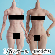 【WorldBox】AT206 A/B 1/6 Girl Body マッスル ガールボディ 1/6スケール 筋肉質 女性ボディ素体 デッサン人形