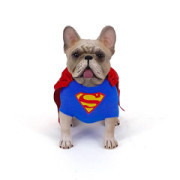 【PENGUIN GOODS】CD#002 Cosplay Dog Superman コスプレドッグ スーパーマン