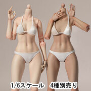 EDATION】HOTSTUFF HS0601/HS0602/HS0603/HS0604 1:6 Female Seamless