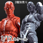 【玩朝】HUMAN BODY Super Movable Muscle Man 超可動 肌肉人 筋肉人体 フィギュアボディ