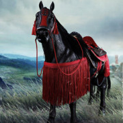 【COO】SE0101 1/6 SERIES OF EMPIRES - KISOKOMA (BATTLE STEED) 木曾駒 木曽馬 軍馬 騎馬 1/6スケール馬フィギュア