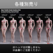 【TBLeague】S18A S19B S20A S21B S22A S23B TBリーグ 1/6スケール シームレス女性ボディ （ヘッドなし）