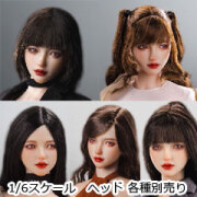 1/6ヘッド