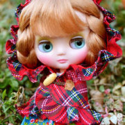 ミディブライス