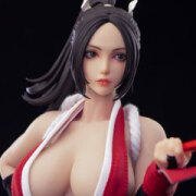 【Ninja Cat】N001 1/6 Female Fighter 女性格闘家 1/6スケール シームレス女性ボディフィギュア