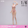 【86TOYS】86-TS01-A 1/6 Anime Female Body アニメ スレンダー体型