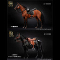 【AlertLine】AL100038 A/B 1/6 WW2 series German Battle Steed Warhorse ドイツ陸軍 軍馬 騎馬 1/6スケール馬フィギュア