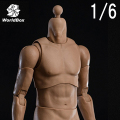 【WorldBox】AT042 1/6 Durable Body アジア系 1/6スケール 男性ボディ素体 デッサン人形