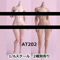 【WorldBox】AT202 1/6 Girl Body ガールボディ 1/6スケール 女性ボディ素体 デッサン人形