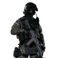 【DAM】No.78058 1/6 RUSSIAN SPETSNAZ MVD - SOBR LYNX 1/6フィギュア