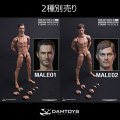 【DAM】1/6 ACTION 2.0 NARROW SHOULDERS BODY NO.MALE01 or MALE02 1/6スケール 男性ボディ素体
