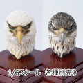 【Mostoys】MS2105 AB 1/6 Bald Eagle Head ハクトウワシ 鷲 1/6スケール 動物ヘッド