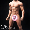 【OCTPLY】OM001 1/6 Fully Encapsulated Male Body (Realistic Muscle Body) Wheat 小麦肌 シームレス男性ボディ デッサン人形