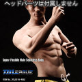 【TBLeague】Super flexible Asia Male Seamless Body PL2016-M32 ファイセン 1/6スケール シームレス男性ボディ（ヘッドなし）