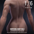 【VeryCool】BODY NO.5 VCD-05B 1/6  Silicone Female Body マスキュラータイプ