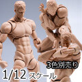 【WindToys】WT001-A / WT001-B / WT001-C 1/12 超可動男性素体 フィギュアボディ デッサン人形 1/12スケールフィギュア 男性ボディ素体