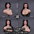 【YMtoys】YMT095 A/B/C/D 1/6 Beauty Headsculpt 涵 1/6スケール 植毛 女性ヘッド