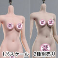 【Puzzletoys】ps001pw/ps001sw 1/6 super movable steel bone LSR Korean girl group body