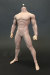 【Phicen】male seamless body PL2015-M30 ファイセン 1/6スケール シームレス男性ボディ（ヘッドなし）