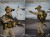 【EASY&SIMPLE】26043B 26th Marine Expeditionary Unit Maritime Raid Force Visit Board Search Seizure(VBSS)