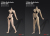 【ANT】AB001W / AB001S 1/6 Flexible Female Seamless Body Big Breast Size
