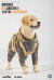 【AUCHEE × JxK.Studio】AH2201 A/B 1/6 Labrador THE END OF THE WASTELAND 1/6スケール ラブラドールレトリバー 犬 イヌ
