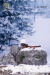 【AlertLine】AL100037 1/6 WWII Finnish Army Soldier 1/6 WW2 フィンランド陸軍 ソルジャー 兵士 スナイパー 1/6スケールフィギュア