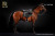【AlertLine】AL100038 A/B 1/6 WW2 series German Battle Steed Warhorse ドイツ陸軍 軍馬 騎馬 1/6スケール馬フィギュア