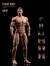 【ANT】AM116 1/12 Muscle Male Body 1/12 筋肉男 マッスル マスキュラー アクションフィギュ