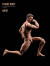 【ANT】AM116 1/12 Muscle Male Body 1/12 筋肉男 マッスル マスキュラー アクションフィギュ