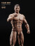 【ANT】AM116 1/12 Muscle Male Body 1/12 筋肉男 マッスル マスキュラー アクションフィギュ