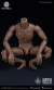 【WorldBox】AT020 1/6 Durable Body 汎用男性素体 1/6スケール 男性ボディ素体