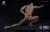 【WorldBox】AT020 1/6 Durable Body 汎用男性素体 1/6スケール 男性ボディ素体