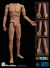 【WorldBox】AT020S 1/6 one-piece forearm of the body 汎用男性素体 1/6スケール 男性ボディ素体