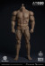 【WorldBox】AT030 1/6 Durable Body 大柄 汎用男性素体 1/6スケール 男性ボディ素体