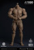 【WorldBox】AT030 1/6 Durable Body 大柄 汎用男性素体 1/6スケール 男性ボディ素体