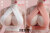 【WorldBox】CA029 W/P 1/6 Backless vest 女性 ブラトップ アンダーウェア 1/6スケール 女性コスチューム