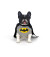 【PENGUIN GOODS】CD#001 Cosplay Dog Batman コスプレドッグ バットマン