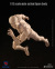 【crazyfigure】LT003 1/12 scale male action figure body フィギュアボディ デッサン人形 1/12スケールフィギュア 男性ボディ素体