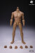 【CH Studio】CH001 / CH001-A / CH002 / CH002-A 1/12 Man Body フィギュアボディ デッサン人形 1/12スケールフィギュア 男性ボディ素体