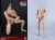 【COO】MB001/MB002/MB003/MB004 NEW TYPE MALE BODY STANDARD & TALL 1/6スケール 男性ボディ素体