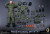 【DAM】No.78070 1/6 RUSSIAN NAVAL INFANTRY ロシア海軍歩兵 1/6スケールフィギュア