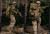 【DAM】No.78084 1/6 Operation Red Wings NAVY SEALS SDV TEAM 1 Corpsman