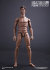 【DAM】1/6 ACTION 2.0 NARROW SHOULDERS BODY NO.MALE01 or MALE02 1/6スケール 男性ボディ素体