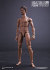 【DAM】1/6 ACTION 2.0 NARROW SHOULDERS BODY NO.MALE01 or MALE02 1/6スケール 男性ボディ素体