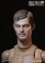 【DAM】1/6 ACTION 2.0 NARROW SHOULDERS BODY NO.MALE01 or MALE02 1/6スケール 男性ボディ素体