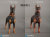 【DID】AS001B AS001R Animal series Doberman Pinscher 1/6スケール 犬 ドーベルマン