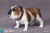 【DID】AS002 Animal series British Bulldog 1/6スケール 犬 ブリティッシュ・ブルドッグ